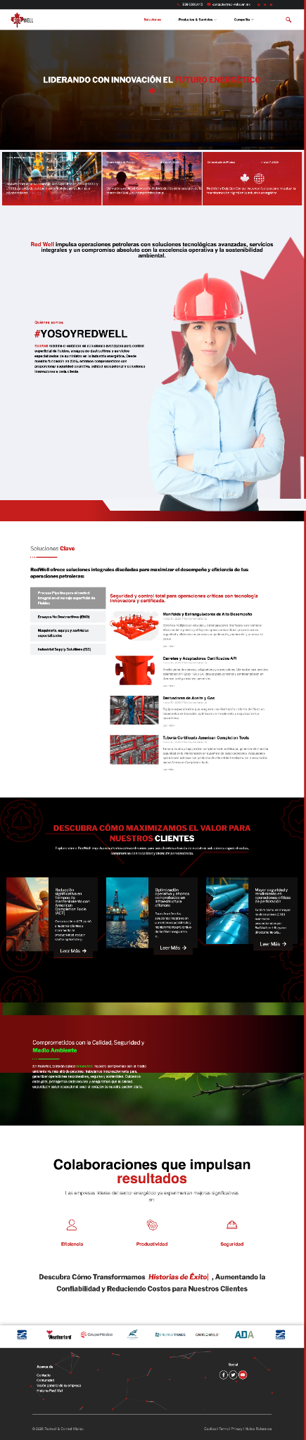 Captura de la página web corporativa desarrollada para RedWell de México